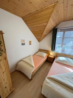 Apartmány Srub Jenišov - 9