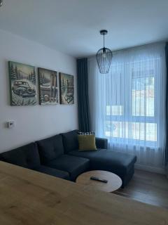 Apartman ISKRA Villa Mont - 9