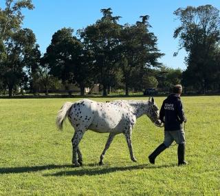 La casa del monte - 1