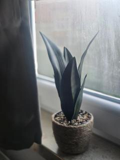 Hotel & Restaurant Hasa - 7