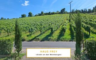 WEINBERGBLICK im Haus FREY - 3 Schlafzimmer ,Küche, 2 Bäder, 2 Balkone, Parkplatz direkt vor der Tür - 9