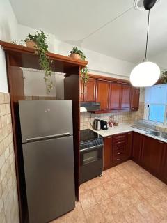 Elegant Flat Near Hospitals & Museums - 7