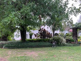 Nut Tree Nook - Hazyview - 1
