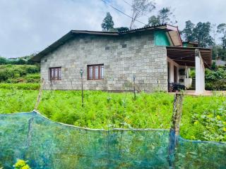 Pattipola guest house - 0