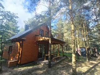 Domek nad jeziorem Wilczyńskim - 5