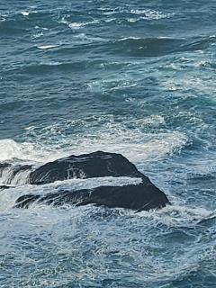 Gato Azul - Coliving - 9