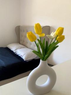 Apartment Lake story - 8