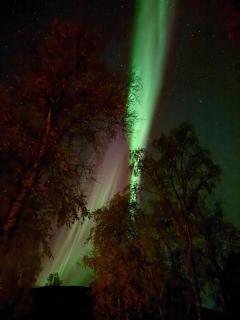 Sørstraumen View - 0