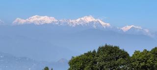 D's Mayaavea Homestay - 3