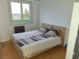 Bien proche de Aeroport St Exupéry Village de Marques et Lyon - 1