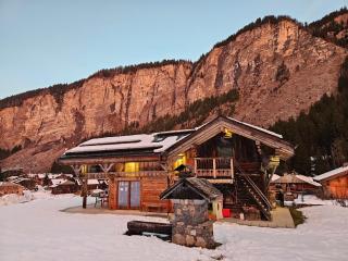 Chalet le Nid independant mountain chalet - 9