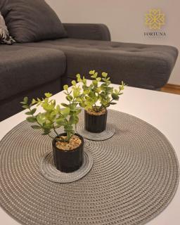 Apartman Fortuna Centar - 4