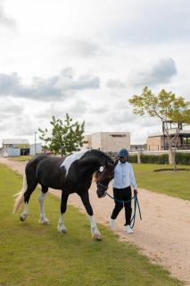 NOK Perfect 1 BR by Vistacana Rentals - 3