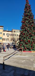 Mugello, vicino lago, Outlet - 8