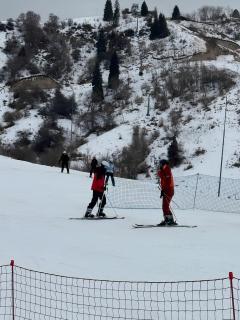 Sweet Apple Garden - 8