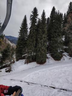 Sweet Apple Garden - 4