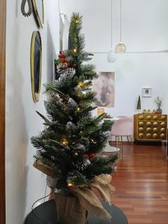 MiMi Catania Home - 6