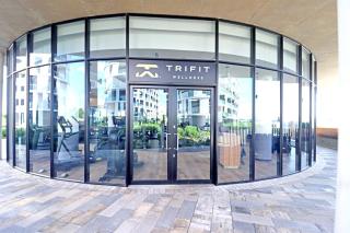 1 Thango Executives Ellipse Gallileo - 2