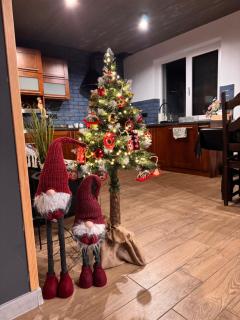 Domki Pod Chełmem - 7