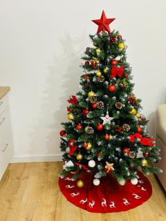 Mountain View House Brasov - 7