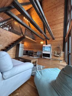 Transilvania Chalet - 0