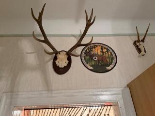 Old School Hunting Apartment with Balcony - 8