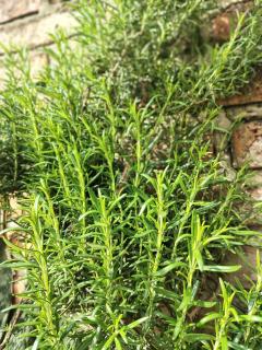 La Casita Gualeguay - 7