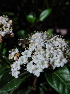 La Casita Gualeguay - 1