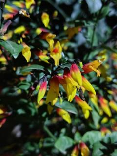 La Casita Gualeguay - 1