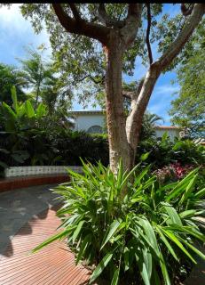 Villa rústica hermosa - Cruz de Huanacaxtle - 8