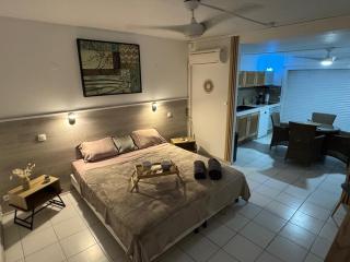 Ti Lagon, studio RDC, piscine, Res Les Boucaniers - 9