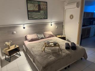 Ti Lagon, studio RDC, piscine, Res Les Boucaniers - 3