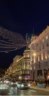 Vip home in Baky - 1