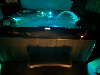 Newer Cozy Guest Cottage with Saltwater Spa! - 0