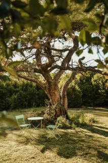 Hostería Tantanakuna - 3