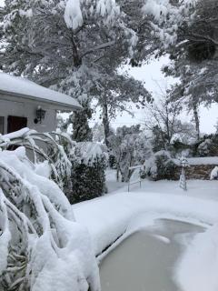 La Huerta de Chocolate Mínimo 2 años larga duración - 7