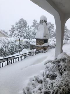 La Huerta de Chocolate Mínimo 2 años larga duración - 3
