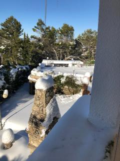 La Huerta de Chocolate Mínimo 2 años larga duración - 2