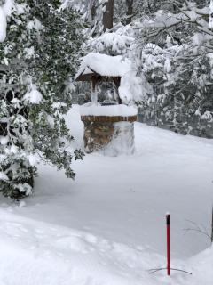 La Huerta de Chocolate Mínimo 2 años larga duración - 1