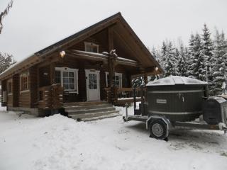 Cottage-karaoke Koivikko - 9