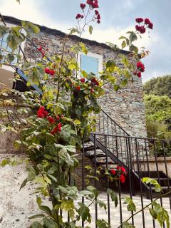 La demeure des vignes - Murato - 5