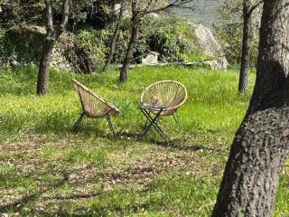 La demeure des vignes - Murato - 4