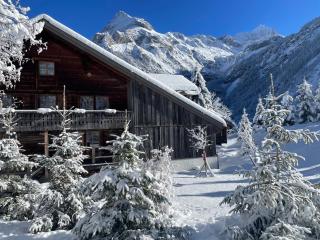 Alpen Charme - Chalet d'Hôtes et SPA - Gsteig - 0
