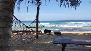 The Den Guest House - 0