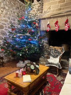 Manoir de Fornebello 16e siècle - Chambres d'Hôtes de prestige avec piscine - 1