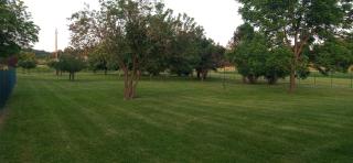 Family Apartment - Ferienwohnumg im Südburgenland - Markt Allhau - 4