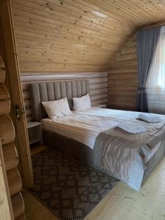 Котедж "Villa Затишна" - Mykulychyn - 7