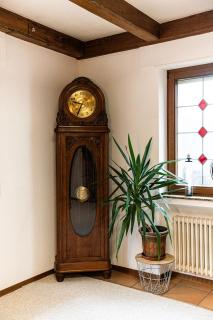 Forest View Quiet and Central - 9