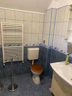 Therme Hive of Plants - 3