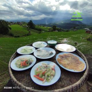 MonNaPaBongPiang Homestay ม่อนนาป่าบงเปียง โฮมสเตย์ - 6